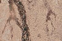 Land for sale in Maricopa County, Arizona