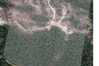 Undeveloped Land for sale in Boise County, Idaho