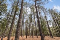 Land for sale in San Miguel County, New Mexico
