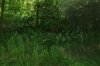 Undeveloped Land for sale in Kalamazoo County, Michigan