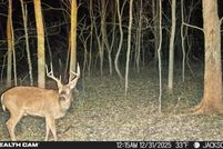 Farm and Ranch for sale in Breathitt County, Kentucky