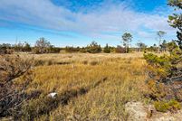 Land for sale in Taylor County, Florida