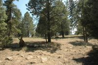 Land for sale in Colfax County, New Mexico