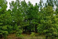 Undeveloped Land for sale in Darlington County, South Carolina