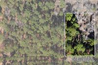 Homesite for sale in Bastrop County, Texas