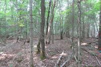 Land for sale in Marquette County, Michigan