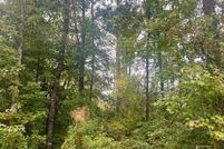 Land for sale in Henry County, Alabama