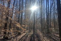 Land for sale in Carroll County, Tennessee