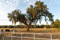 Land for sale in Hendry County, Florida