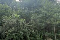 Land for sale in Pulaski County, Virginia