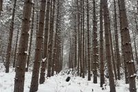 Homesite for sale in Burnett County, Wisconsin