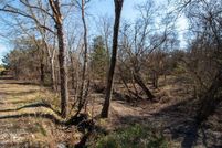 Undeveloped Land for sale in Fannin County, Texas