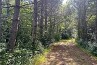 Homesite for sale in Sherburne County, Minnesota