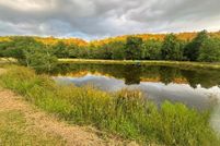 Land for sale in Fannin County, Georgia