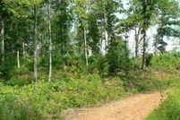 Undeveloped Land for sale in White County, Georgia