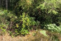 Land for sale in Pierce County, Washington