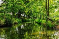 Land for sale in Gillespie County, Texas