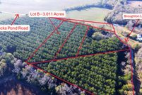 Homesite for sale in Orangeburg County, South Carolina