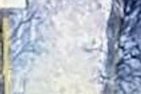 Land for sale in Jones County, Texas