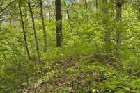 Land for sale in Centre County, Pennsylvania