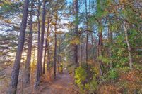 Land for sale in Cass County, Texas