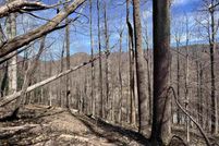 Land for sale in Nelson County, Virginia