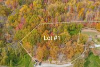 Land for sale in Scott County, Virginia
