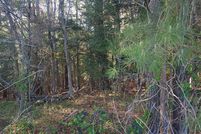 Undeveloped Land for sale in Russell County, Virginia