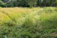 Homesite for sale in Suffolk County, New York