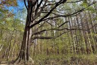 Land for sale in Madison County, Mississippi