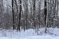Homesite for sale in Sawyer County, Wisconsin