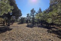 Land for sale in Coconino County, Arizona
