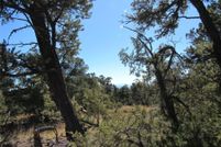 Land for sale in Taos County, New Mexico