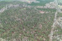 Land for sale in Clarke County, Alabama