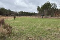 Undeveloped Land for sale in Sussex County, Delaware