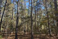 Undeveloped Land for sale in Georgetown County, South Carolina