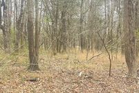 Land for sale in Marshall County, Mississippi