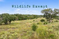 Homesite for sale in Blanco County, Texas