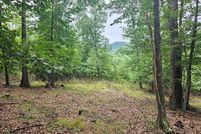 Land for sale in Grayson County, Virginia