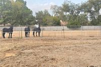 Land for sale in Clark County, Nevada