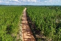 Homesite for sale in Appling County, Georgia