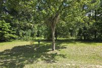 Undeveloped Land for sale in Alachua County, Florida