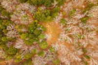 Land for sale in Oregon County, Missouri