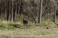 Lakefront Property for sale in Columbia County, Wisconsin