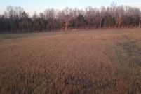 Land for sale in Ohio County, Kentucky