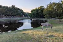 Land for sale in Collin County, Texas