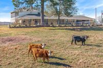 Land for sale in Van Zandt County, Texas