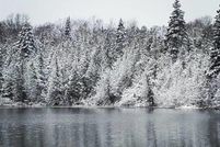 Land for sale in Luce County, Michigan