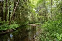 Land for sale in Clatsop County, Oregon