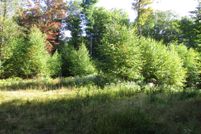 Land for sale in Allegany County, New York